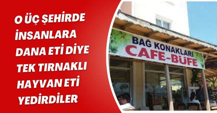O üç şehirde insanlara dana eti diye tek tırnaklı hayvan eti yedirdiler
