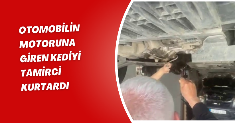 Otomobilin motoruna giren kediyi tamirci kurtardı