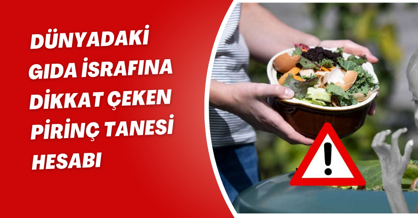 Dünyadaki gıda israfına dikkat çeken pirinç tanesi hesabı
