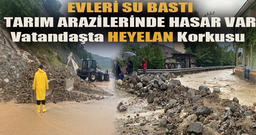 Gölyaka'da dereler taştı evleri su bastı