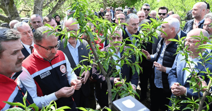 Bakan Yardımcısı Gümen: 