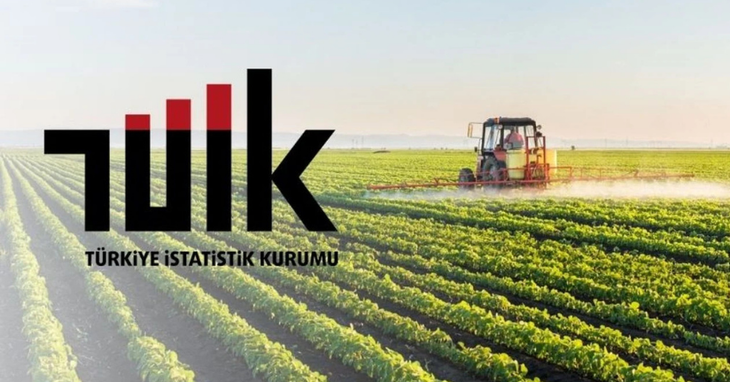Tarım-GFE yıllık yüzde 28,92 arttı