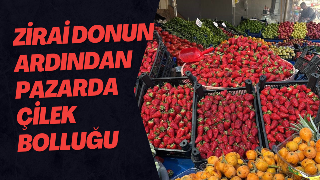 Zirai Donun Ardından Pazarda Çilek Bolluğu