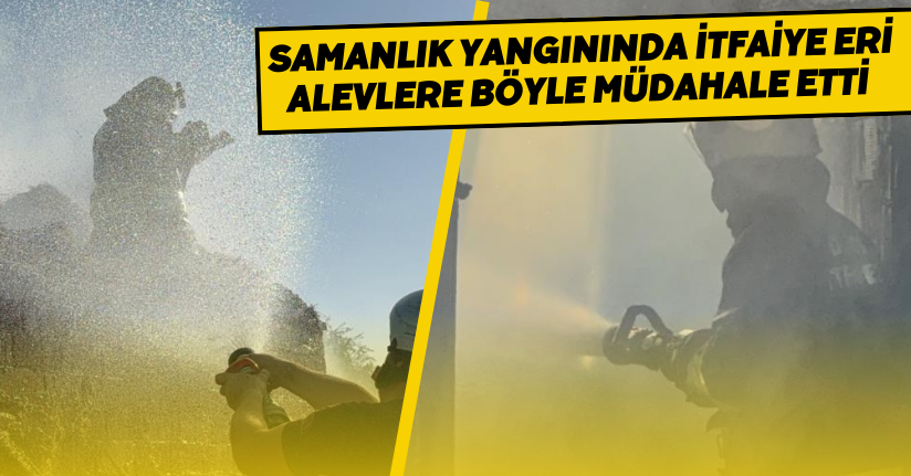 Samanlık yangınında itfaiye eri alevlere böyle müdahale etti