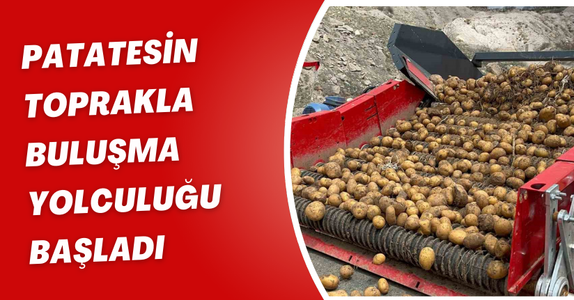 Patatesin toprakla buluşma yolculuğu başladı