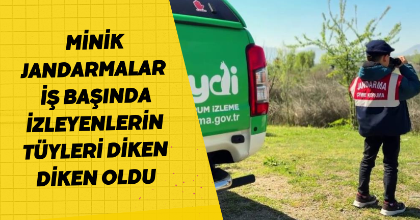 Minik jandarmalar iş başında: İzleyenlerin tüyleri diken diken oldu