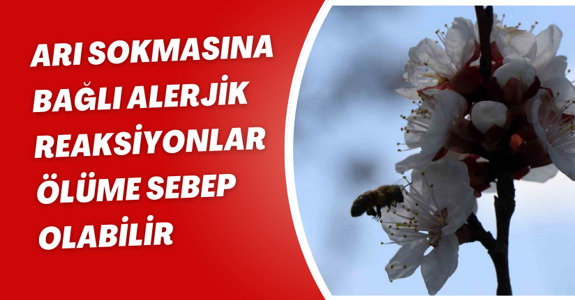 Arı sokmasına bağlı alerjik reaksiyonlar ölüme sebep olabilir