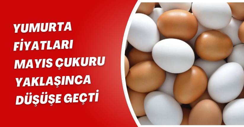 Yumurta fiyatları