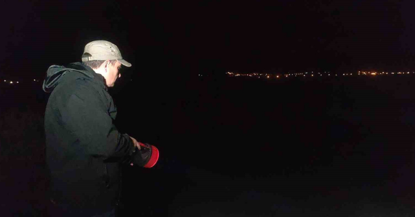 İnci kefalinin tatlı sulara göçü başladı