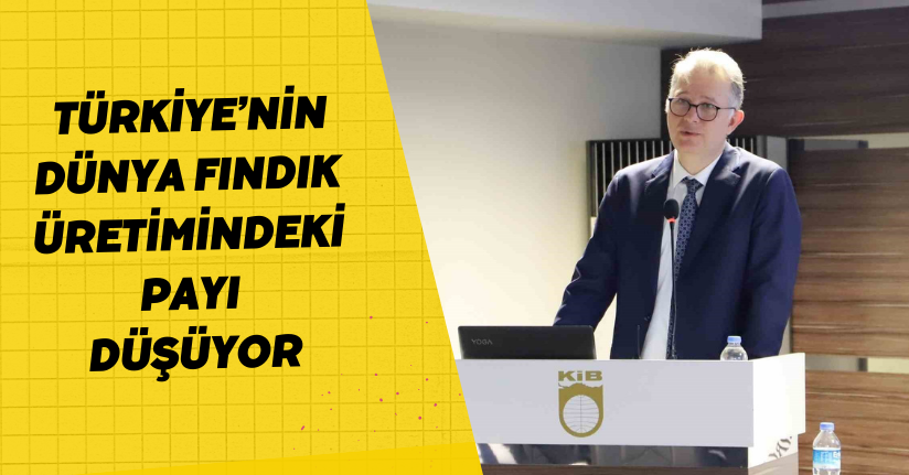 Türkiye’nin dünya fındık üretimindeki payı düşüyor