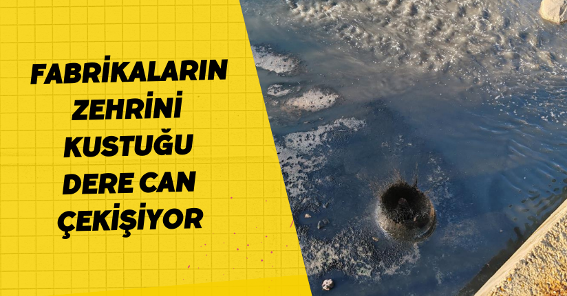 Fabrikaların zehrini kustuğu dere can çekişiyor