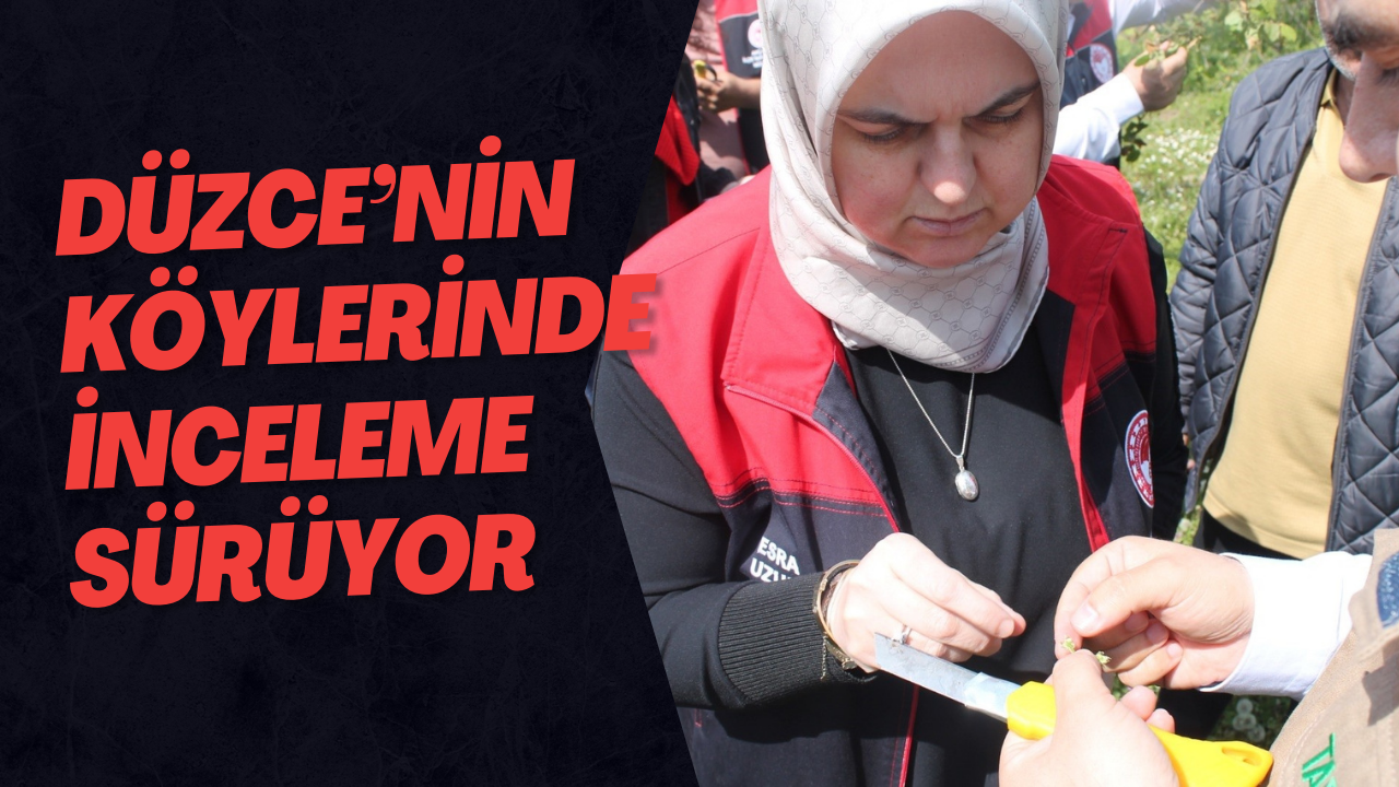 Düzce’nin Köylerinde İnceleme Sürüyor