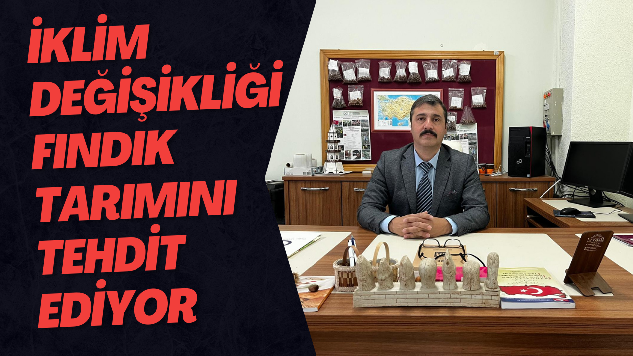 İklim Değişikliği Fındık Tarımını Tehdit Ediyor