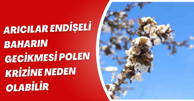 Arıcılar endişeli, baharın gecikmesi polen krizine neden olabilir