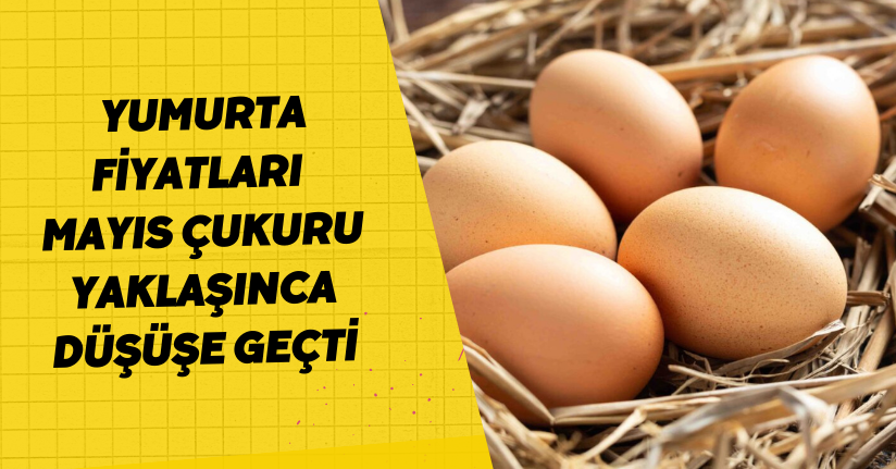 Yumurta fiyatları