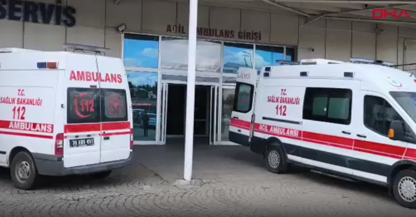 Kars'ta 'güzelavrat' otu yiyen 8 çocuk zehirledi