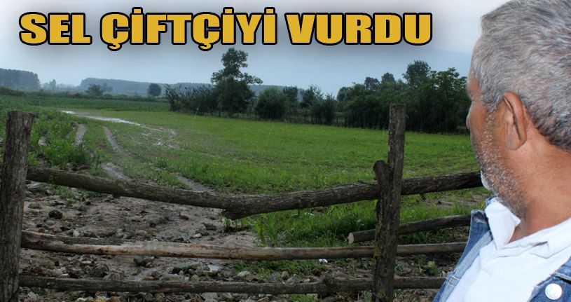 Düzce’de sel çiftçiyi vurdu