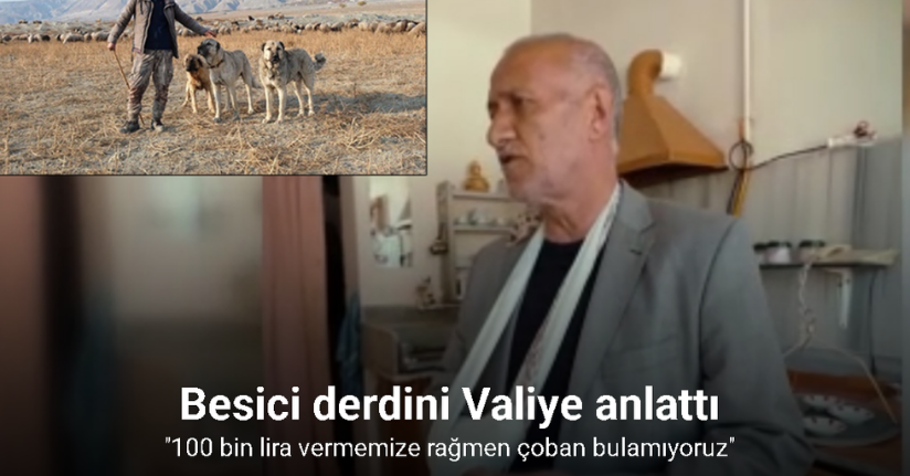 Erzincan’da 100 bin lira maaşla çoban bulamayan besici derdini Valiye anlattı