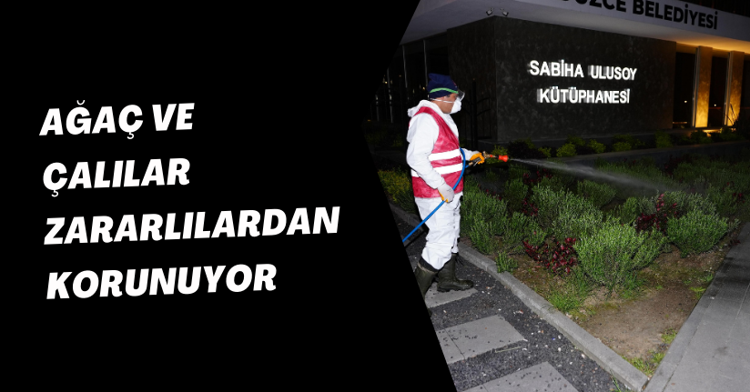 Ağaç ve Çalılar Zararlılardan Korunuyor
