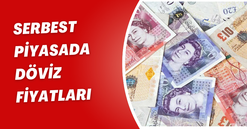Serbest Piyasada Döviz Fiyatları