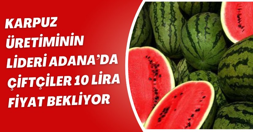 Karpuz üretiminin lideri Adana’da çiftçiler 10 lira fiyat bekliyor