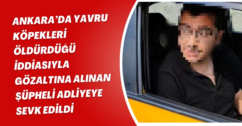 Ankara’da yavru köpekleri öldürdüğü iddiasıyla gözaltına alınan şüpheli adliyeye sevk edildi