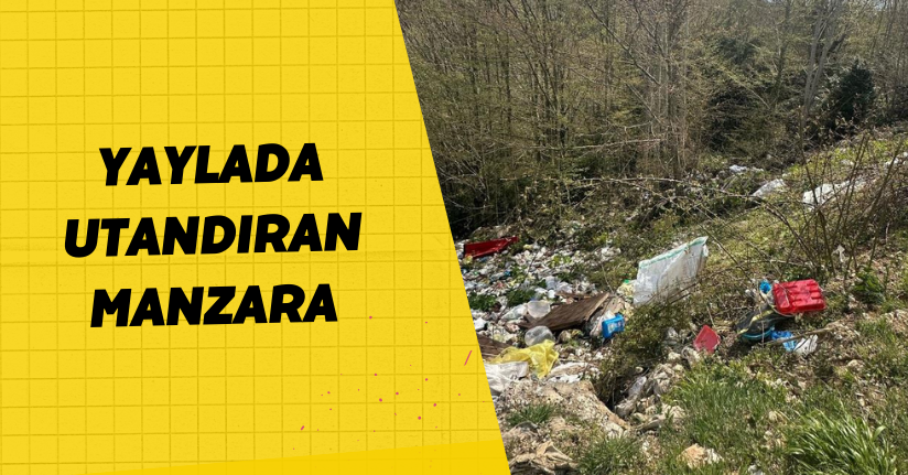  Yaylada utandıran manzara: Çöplüğe dönüştürdüler