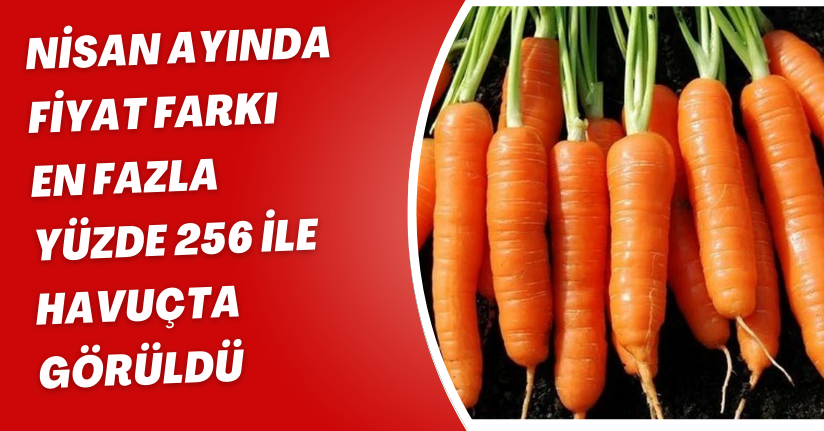 Nisan ayında fiyat farkı en fazla yüzde 256 ile havuçta görüldü