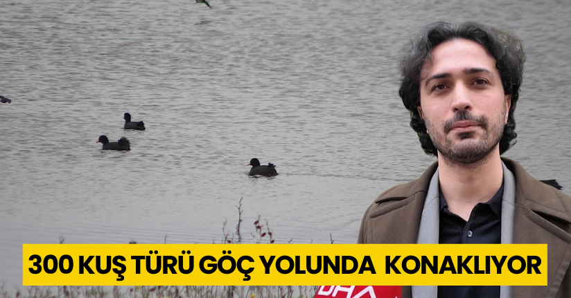300 kuş türü göç yolunda konaklıyor