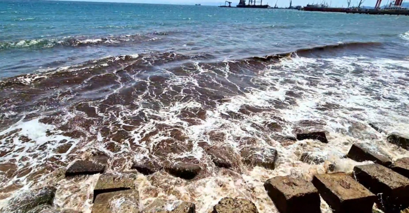 Poyraz sonrası deniz yüzeyi kızıl yosunla kaplandı