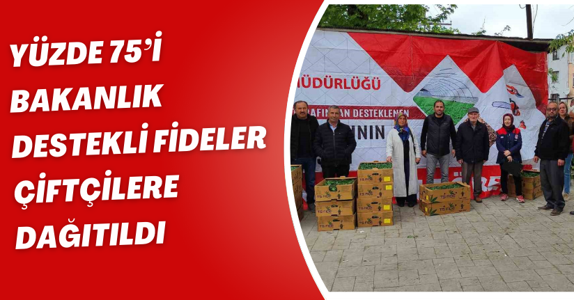 Yüzde 75’i bakanlık destekli fideler çiftçilere dağıtıldı