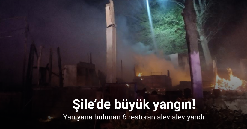 Şile’de büyük yangın: Yan yana bulunan 6 restoran alev alev yandı