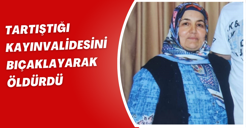 Tartıştığı kayınvalidesini bıçaklayarak öldürdü