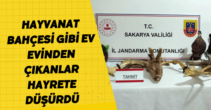  Hayvanat bahçesi gibi ev