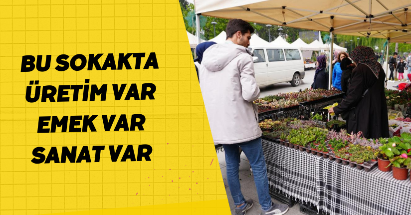 Bu sokakta üretim var emek var sanat var