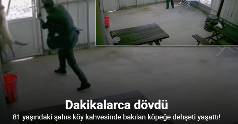 81 yaşındaki şahıs köy kahvesinde bakılan köpeğe dehşeti yaşattı
