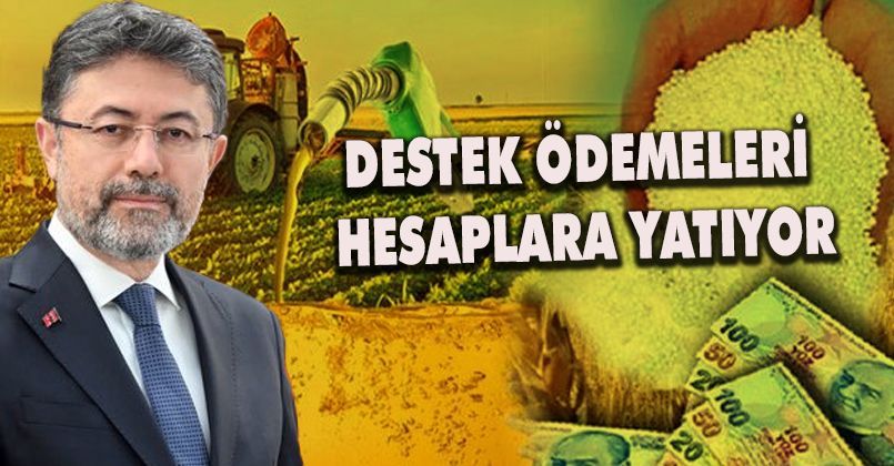 Destek ödemesi  hesaplara yatacak