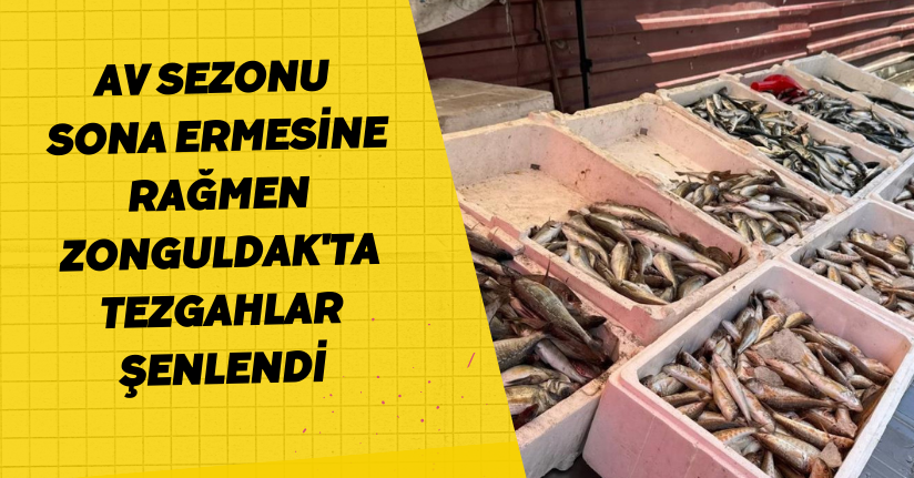  Av sezonu sona ermesine rağmen Zonguldak'ta tezgahlar şenlendi