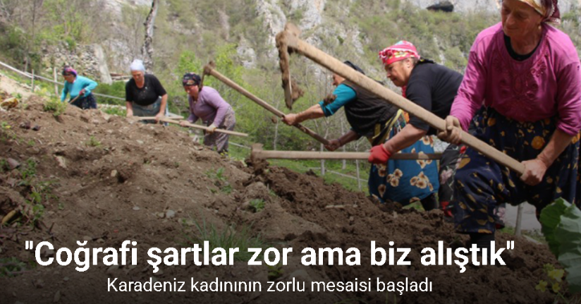 Karadeniz kadınının zorlu mesaisi başladı
