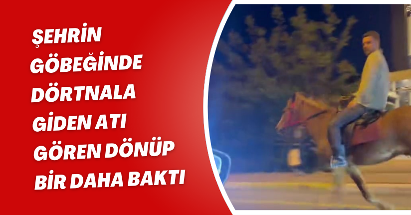 Şehrin göbeğinde dörtnala giden atı gören dönüp bir daha baktı