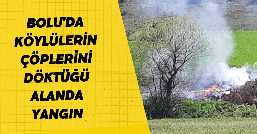 Bolu'da köylülerin çöplerini döktüğü alanda yangın