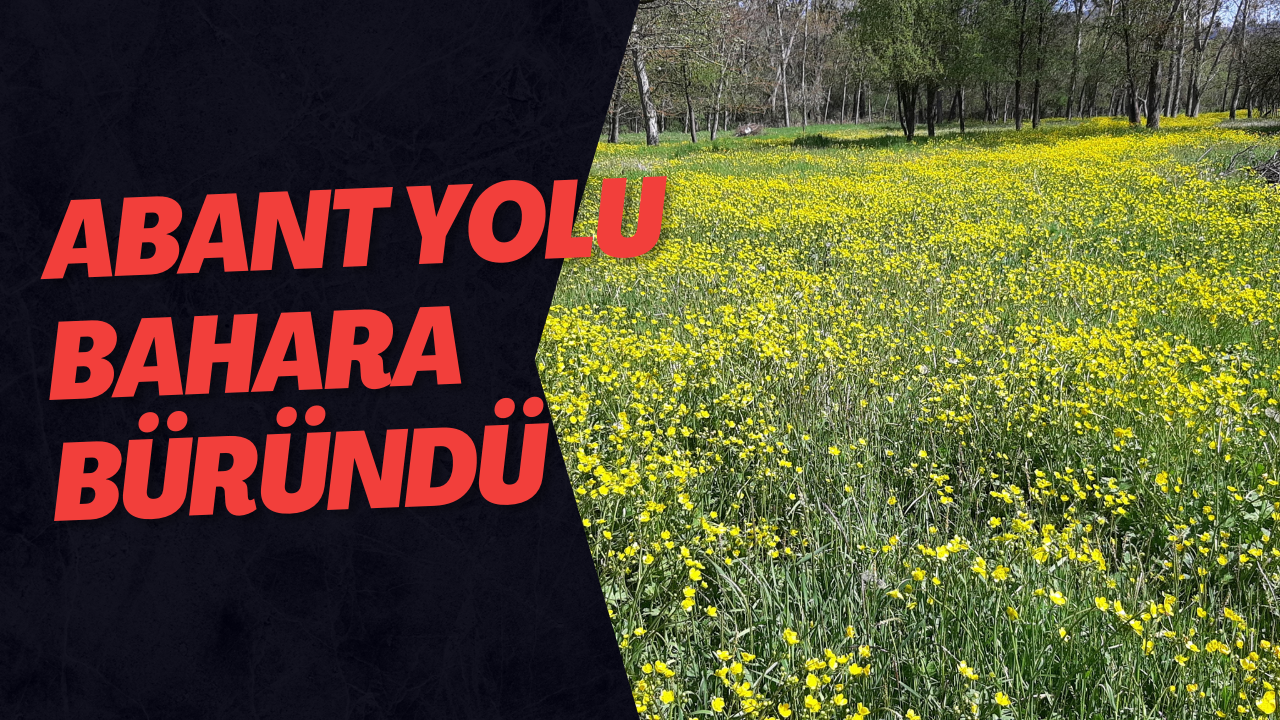 Abant Yolu Bahara Büründü