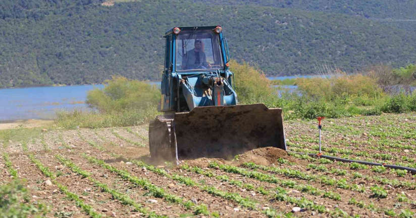 Devlet çiftçiye 