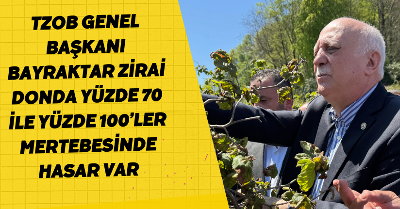 Zirai donda yüzde 70 ile yüzde 100’ler mertebesinde hasar var