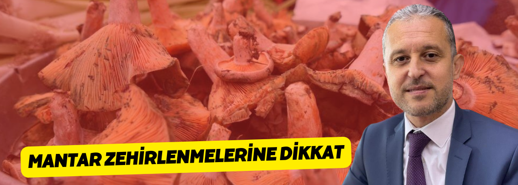Mantar Zehirlenmelerine Dikkat