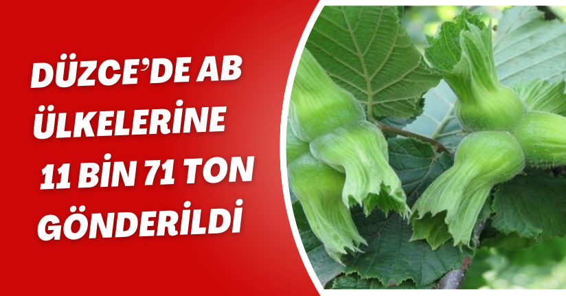 Düzce’de AB ülkelerine 11 bin 71 ton gönderildi
