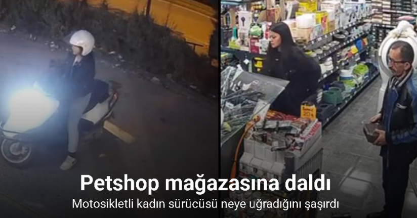 Motosiklet kadın sürücüsü ile birlikte petshop mağazasının camından içeriye daldı