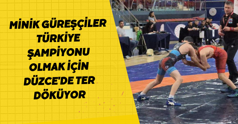 Minik güreşçiler, Türkiye şampiyonu olmak için Düzce'de ter döküyor