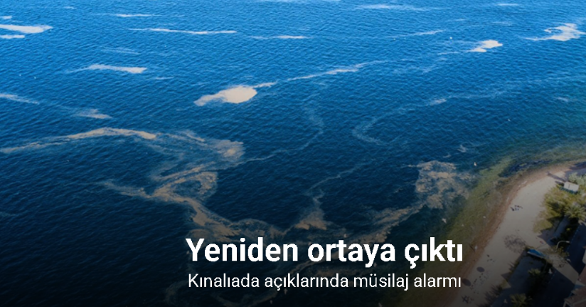 Kınalıada açıklarında müsilaj alarmı, deniz salyası havadan görüntülendi