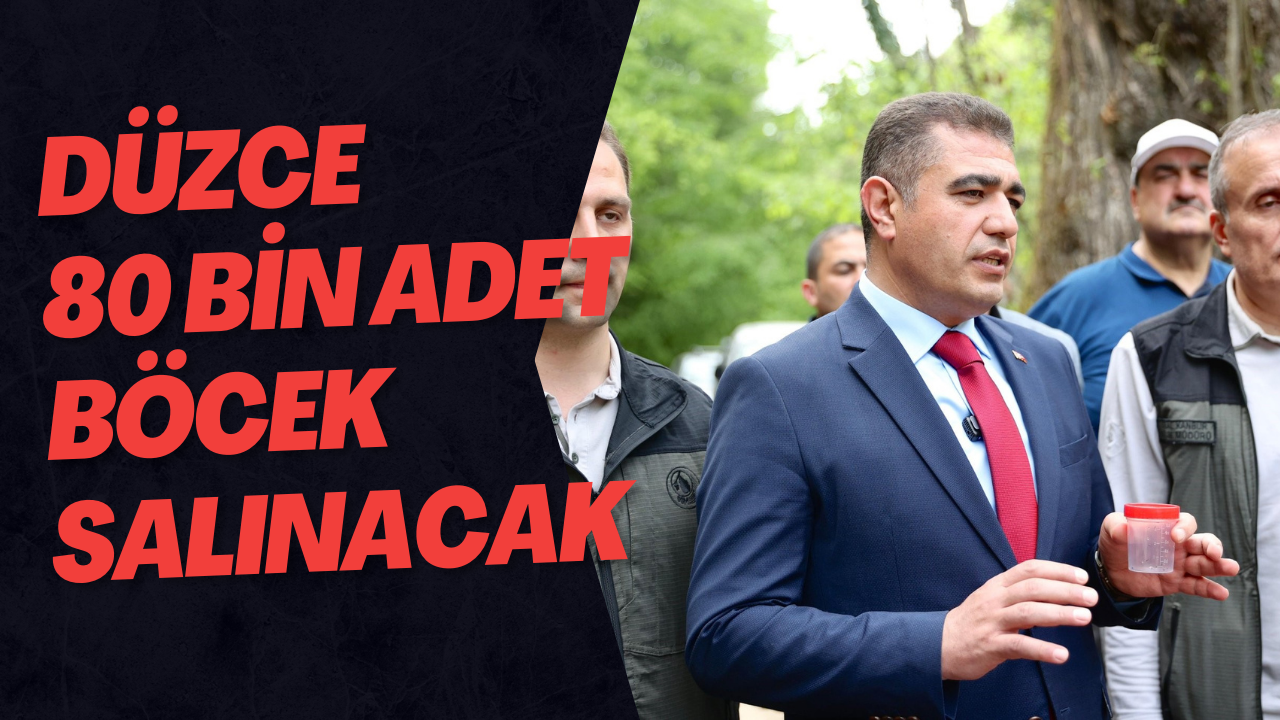 Düzce 80 Bin Adet Böcek Salınacak